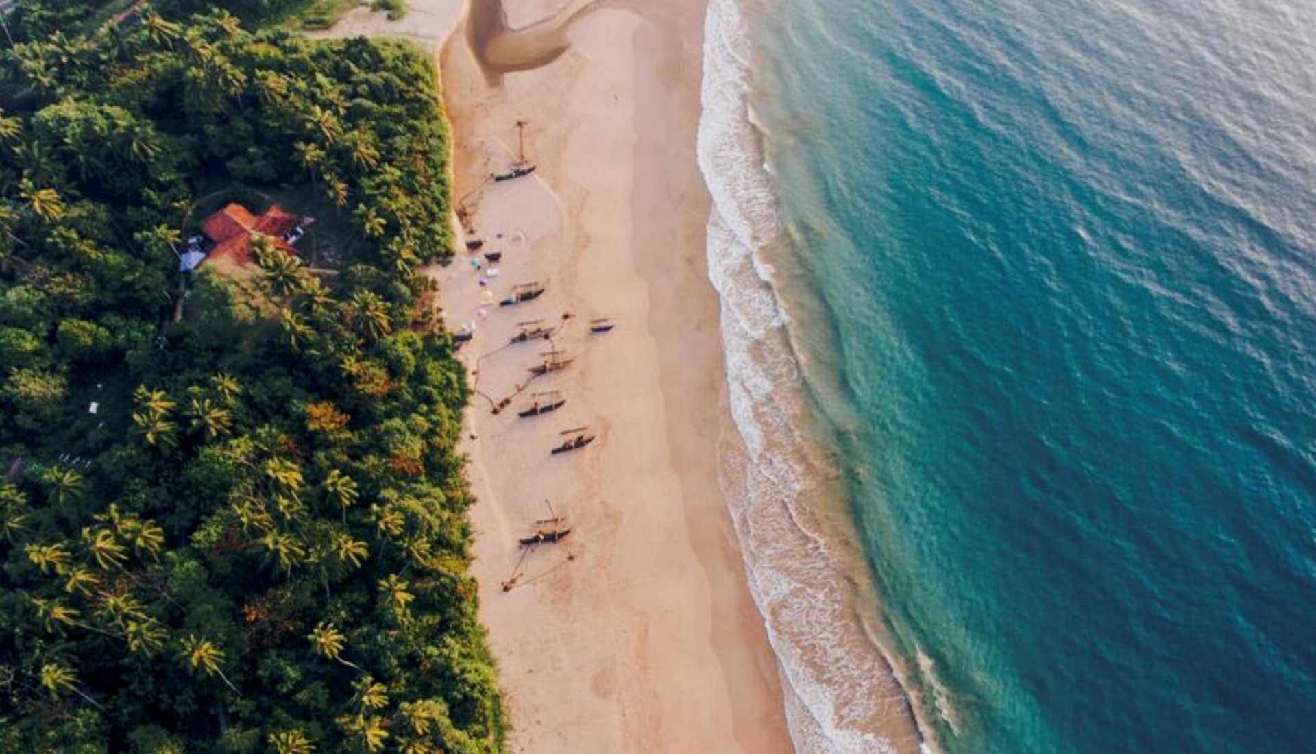 sailing sri lanka sailing sri lanka